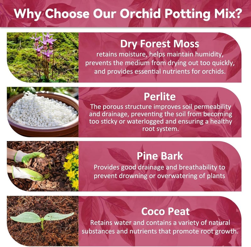 Riare 1QT Orchid Potting Mix for Repotting- Orchid Repotting Kit Include Moss, Pine Bark, Perlite, Coco Peat- Premium Orchid Soil Medium for Indoor Potted Plants Root Ventilation & Expanding - Image 3